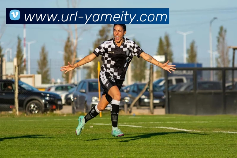 亚美体育发展历程